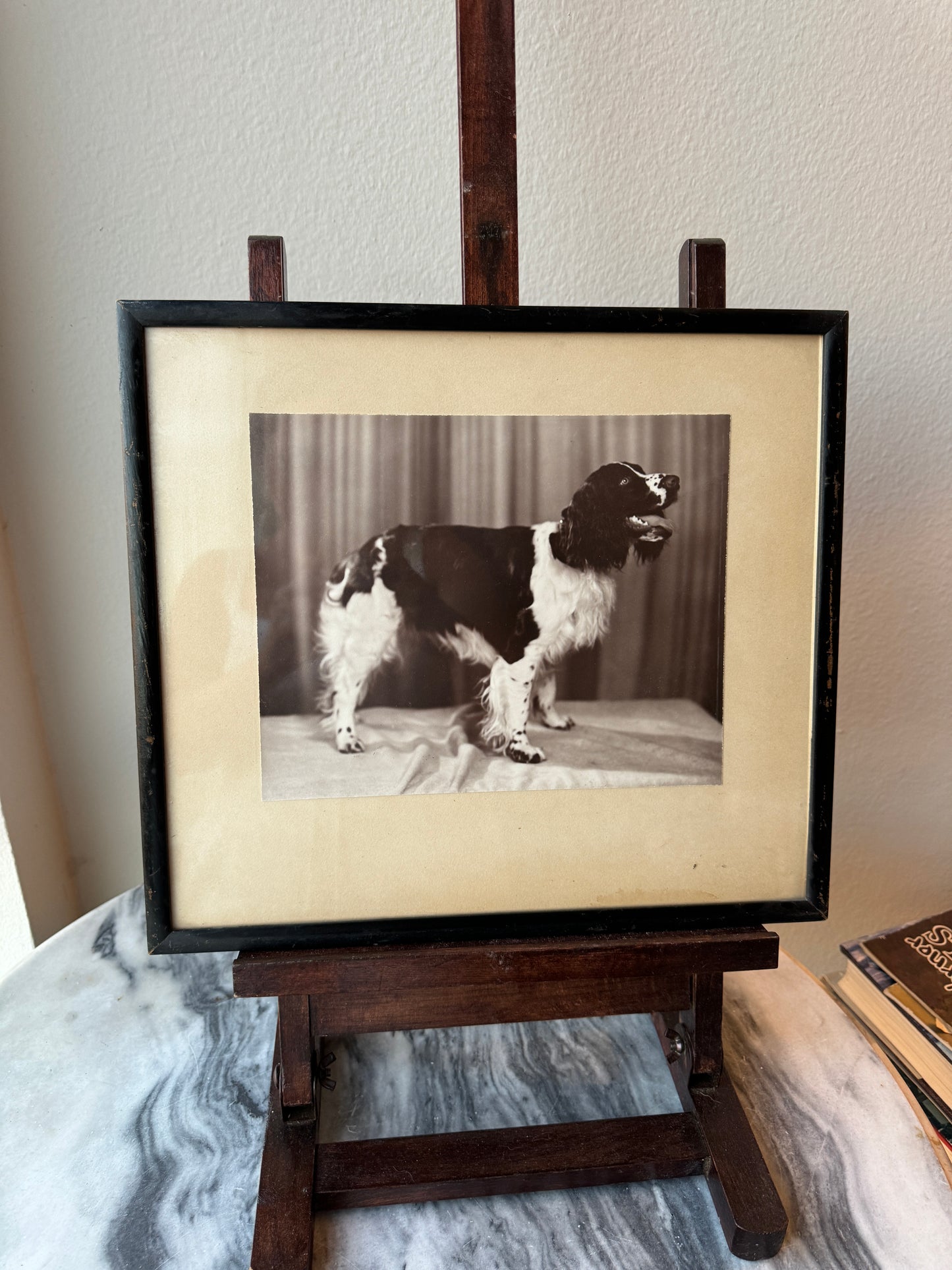 Vintage Black & White Dog Photo