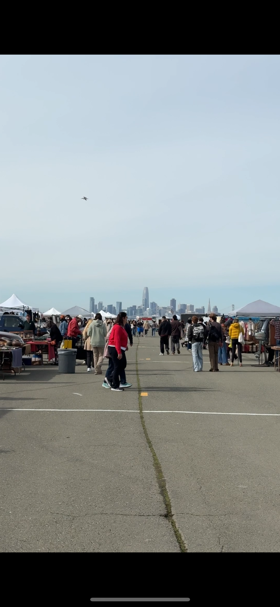 My Favorite CA Flea Market, Alameda!