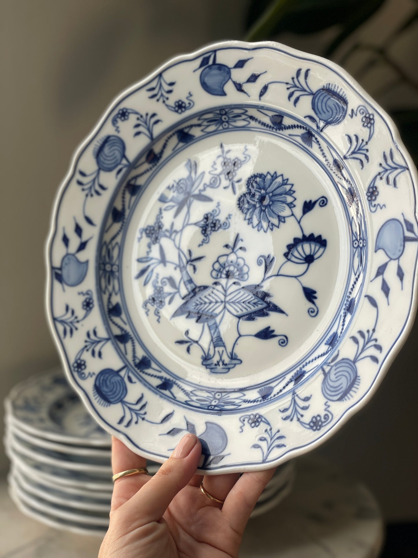 Antique Meissen Blue Onion Dinner Plates